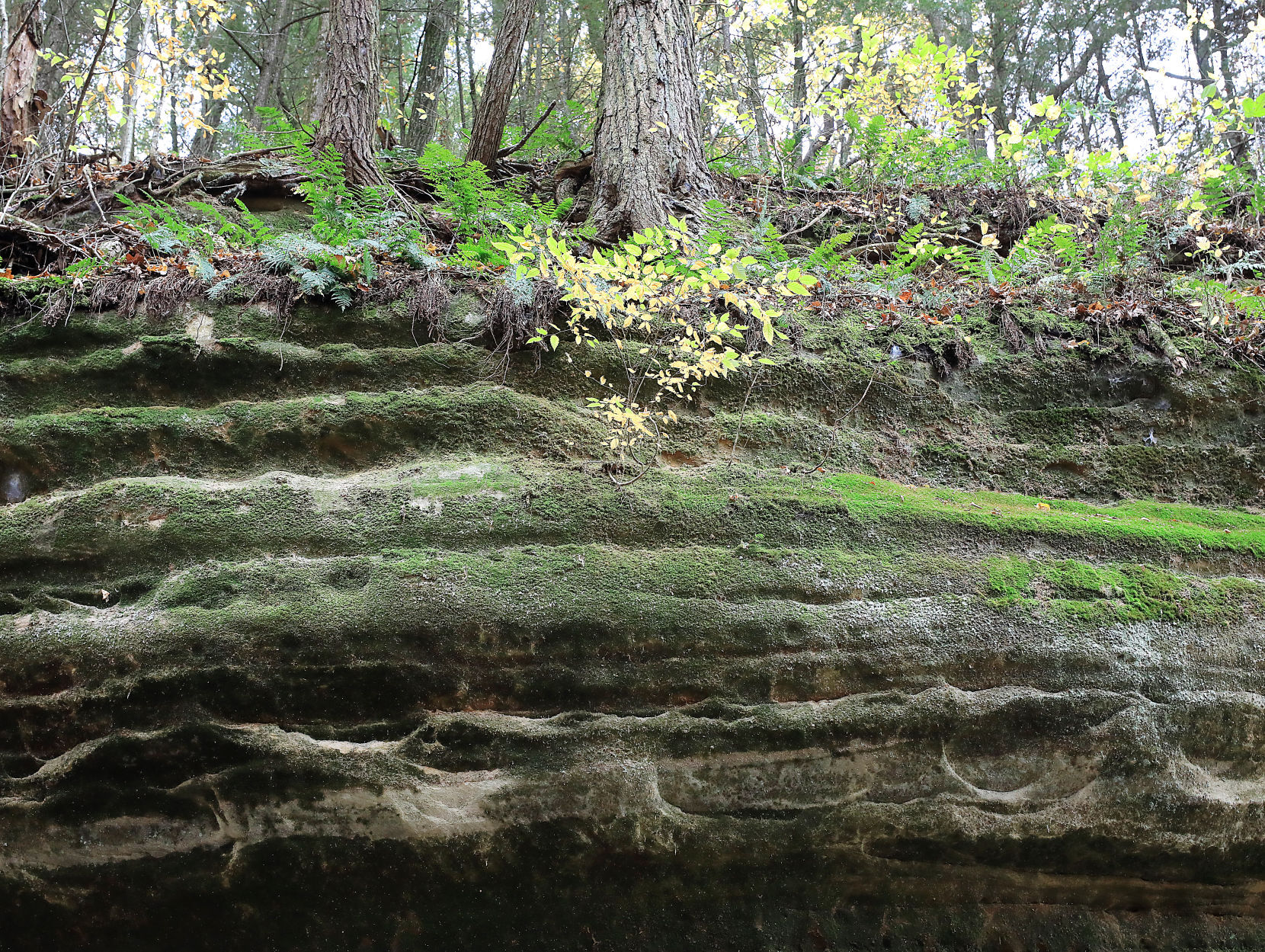 Resilient Lands 06-10282020101731